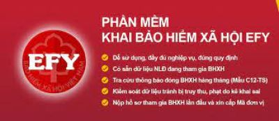 Phần Mềm BHXH EFY